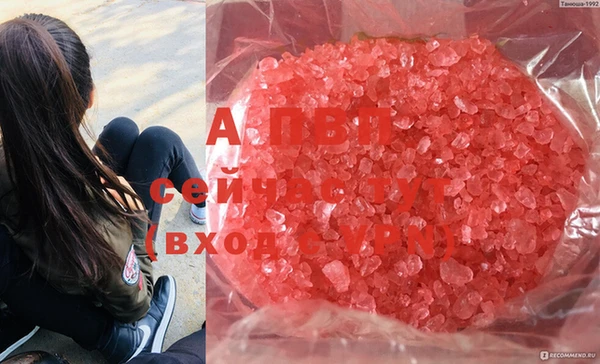 стаф Алагир