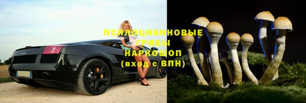 стаф Алагир
