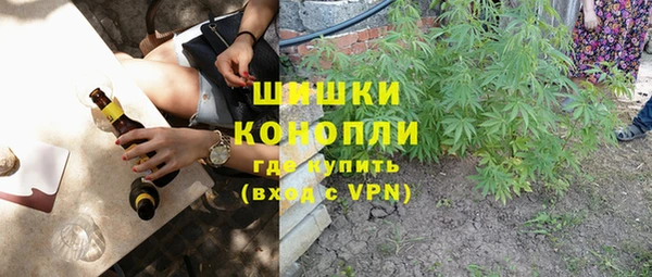 стаф Алагир