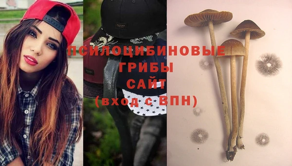 стаф Алагир