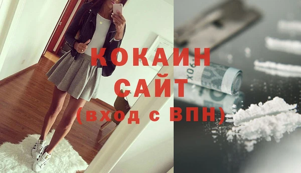 стаф Алагир