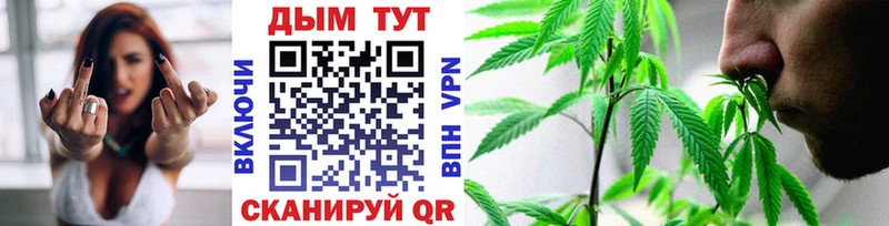Купить где  Покровск  Каннабис гибрид 